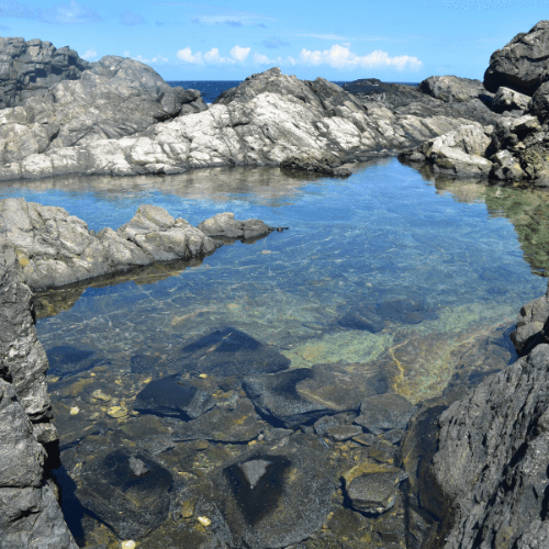 Campasun : Côté Lagune Ile Du Gaou