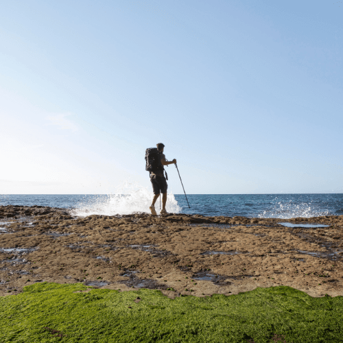 Campasun : Randonnées Ile Du Gaou